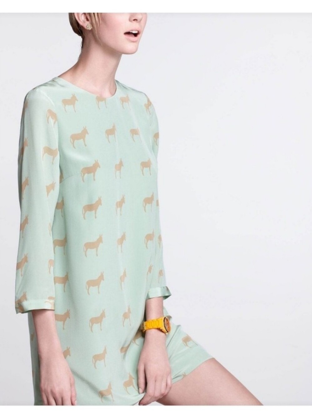 Anthropologie Charlotte Taylor Mint Donkey Silk Dress Size 0